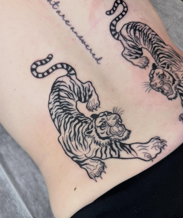 Tigre en fine line sur les côtes